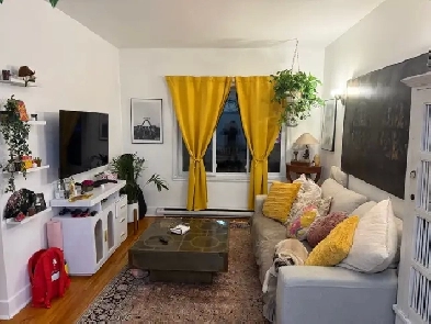 3½ rénové avec cour privée, métro Jolicoeur. Image# 1