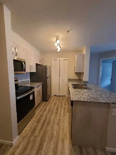 Apartment for rent Image# 6