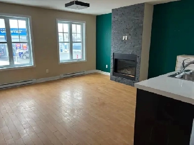 À LOUER – 4 ½ SPACIEUX ET LUMINEUX Sainte-Anne-des-Plaines Image# 1