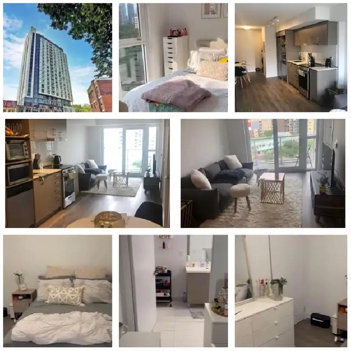1 bed 1 private bath in downtown Toronto