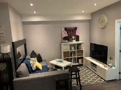 1 Bedroom Basement Apartment – Single/Couple Image# 1