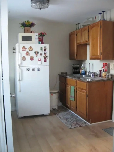 Studio Bachelor Apartment for Rent for March 1st in Bible Hill