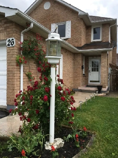 2 Bedroom Basement with 2 Car Parkings