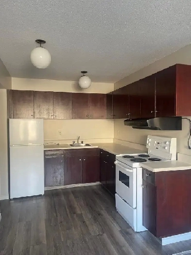 FOR RENT 1 & 2 Bd Apartment 11916 105 St Edmonton Image# 3