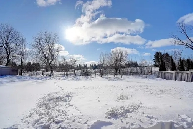 Newly Built 1-Bedroom Walk-Up Basement Unit in Oak Ridges Image# 1