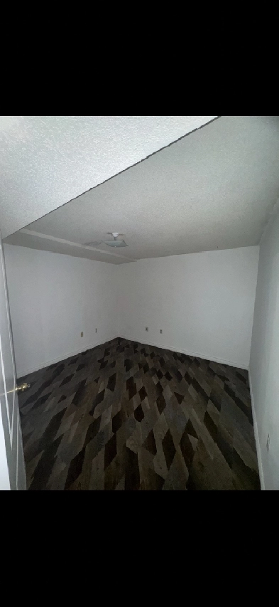 1 bedroom basement 2 floors avail immediately