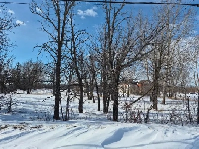 5 ACRE PROPERTY IN WINNIPEG Image# 9