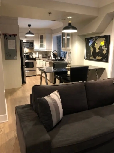 Renovated condo 3 12 BLVD SAINT LAURENT