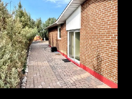 1 BR Basement Apartment in Etobicoke for Rent