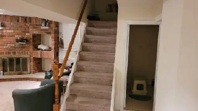 Basement Apartment for Rent Yonge/Weldrick Image# 1