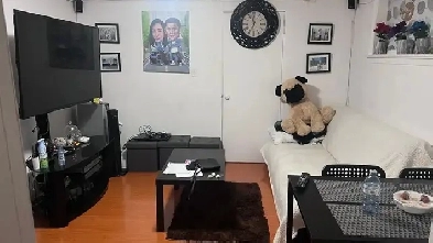 1 bedroom basement apart