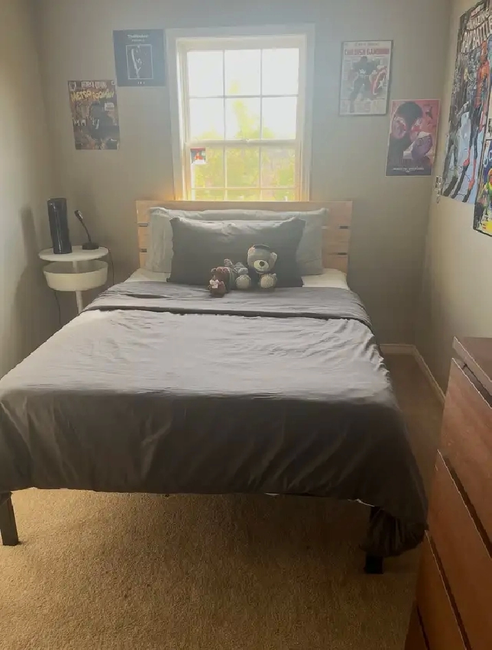 Looking for a female to join our lease!