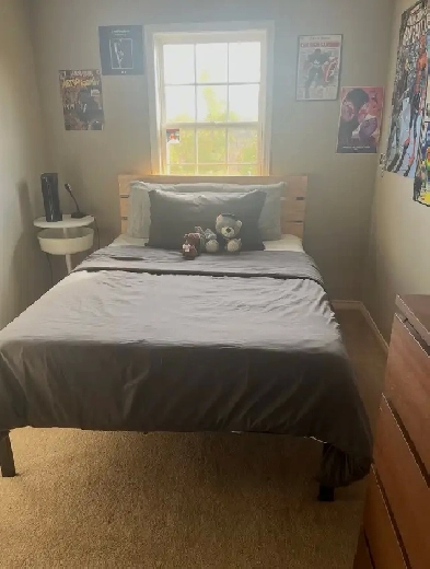 Looking for a female to join our lease!