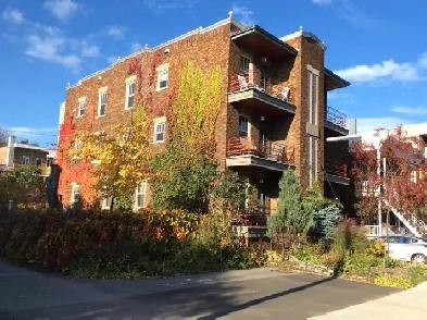 Très beau 4½ salon double au cœur du Vieux-Limoilou