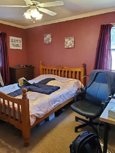 Room for Rent near U of A Image# 1