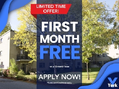 Affordable 1 Bedroom Apartment in Sarnia