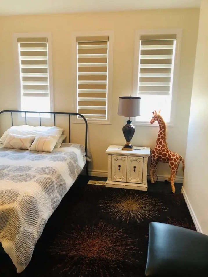 looking for roommate  - Woodstock