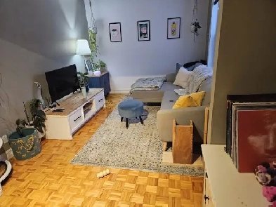 5 1/2 dans un secteur recherché à 1450$ disponible le 1 juillet