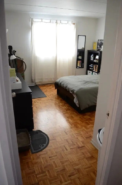 Grand 4 ½  2iem etage, louer, Longueuil,  1500$/mois Image# 1