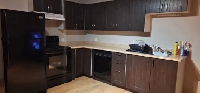 Superbe beau grand 4 1/2, secteur St-Émile, juillet