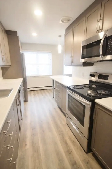 Newly reno'd, bright 1-bedroom suite downtown! Image# 4