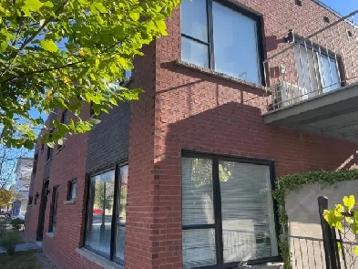 Grand 4 12 demi soussol rcent  SaintSulpice Villeray