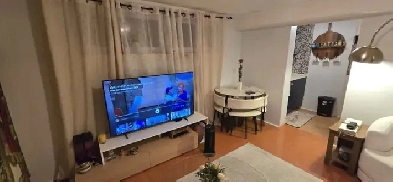 One Bedroom basement Image# 1