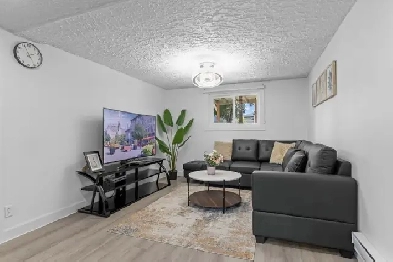 CLEAN NEW RENOVATED 3 12