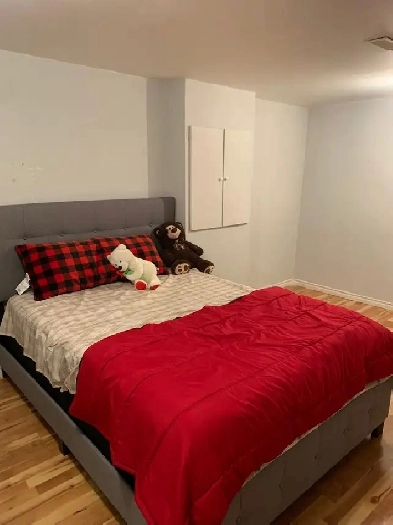 1 Bedroom basement for Rent - Brampton