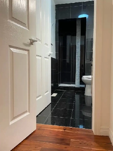 master bedroom for rent- sw evergreen Image# 8