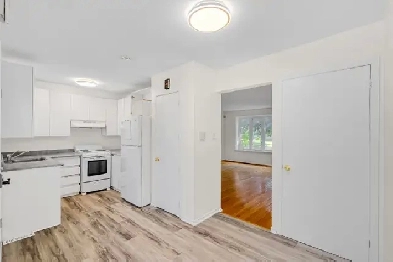 Shared room near Carleton University until end of August Image# 1