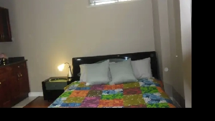 furnished rooms for rent near Royal Oak Skytrain and Metrotown