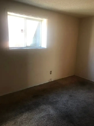 2bedroom basement  1200  no deposit for rent