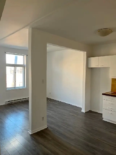 GREAT 2BEDROOM IN VERDUN  PETS ALLOWED