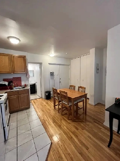 Beau 3½ 1er OCTOBRE - CDN - près UdeM, Poly, SITUÉ DEMI SOUS-SOL Image# 1