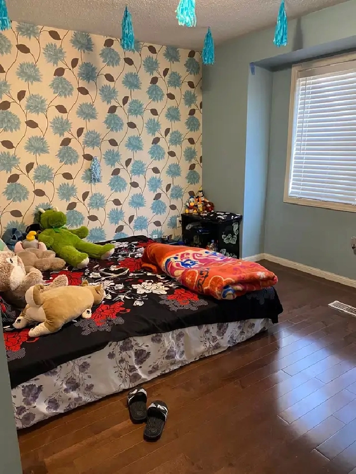 1 room for rent in semi detached house in Brampton