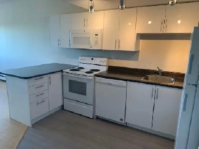 Beautiful, bright 1 bedroom suite for April 1st! Image# 1