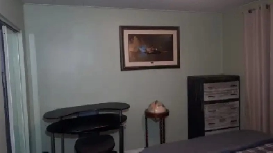 $850.00/month Roommate, with all utilities included plus parking