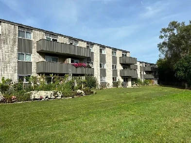 LOCATION.LOCATION. Nice 1 bedroom Apt. Available April 1st. Image# 1