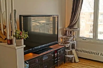 GRAND 4 1/2  à louer, 3e étage.  Très propre.  Avenue Duval (QC)