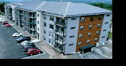 1Bed Den/1Bath Uptown Near Shopping/Restaurants, Available Aug1 Image# 9