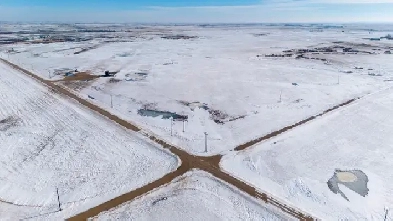 4 Qtrs of Grain Land | RM of Griffin # 66 | Near Halbrite, SK Image# 8