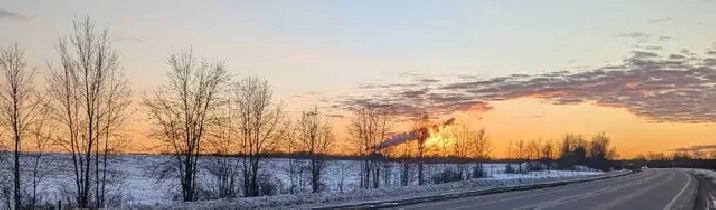 looking for a room or house