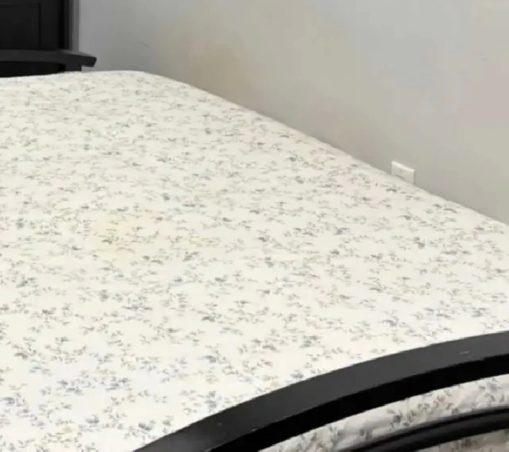 a furnished shared room for rent from April