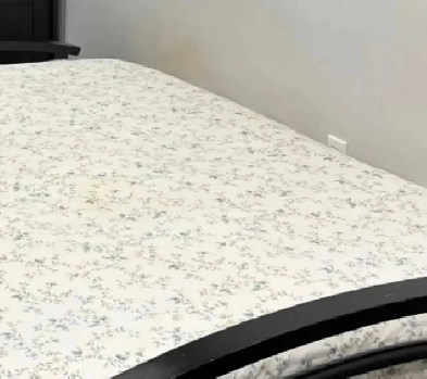 a furnished shared room for rent from April