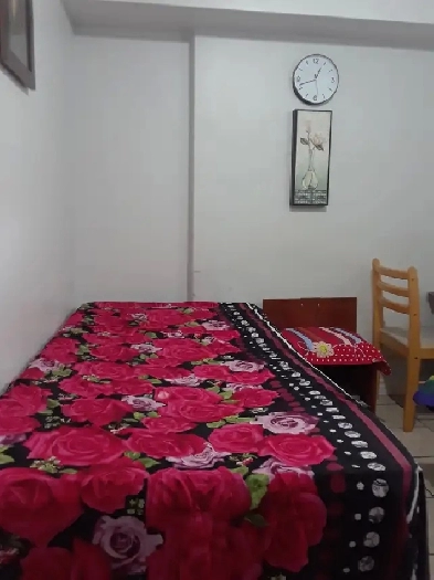 SHARED ROOM IN BASEMENT APT from 1st April. SCARBOROUGH/TORONTO. Image# 2