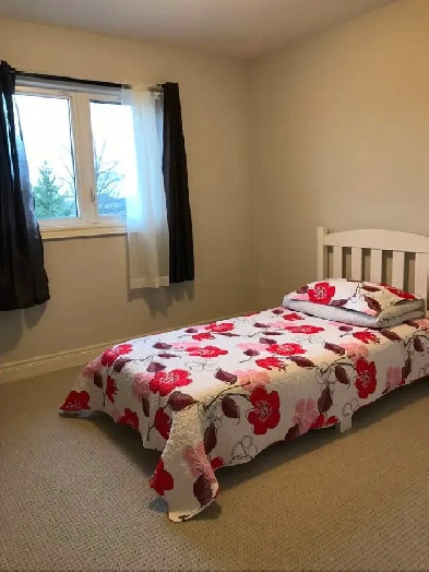 Niagara college (Welland campus) room for rent: Image# 1