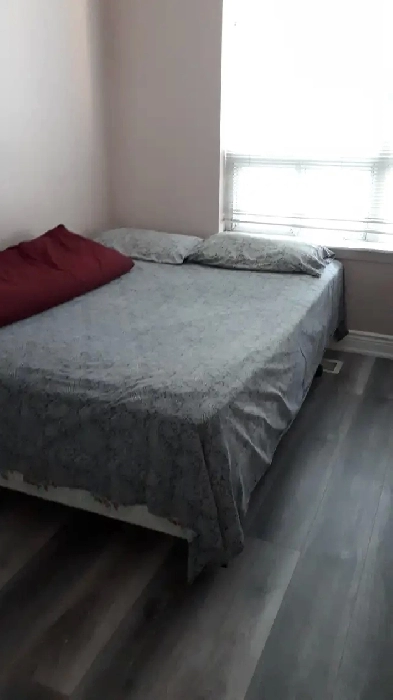 ROOM RENT IN SQ 1 FOR SINGLE PERSON