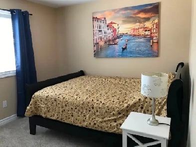 ORLEANS-FURNISHED ONE BEDROOM FOR RENT Image# 2