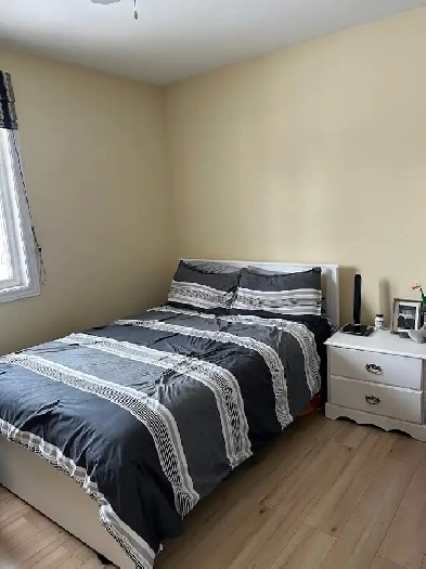 SUMMER SUBLET OR FALL LEASE available in Country Home Image# 2